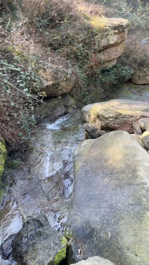 沪江开心词场